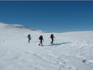 Raquetas de nieve